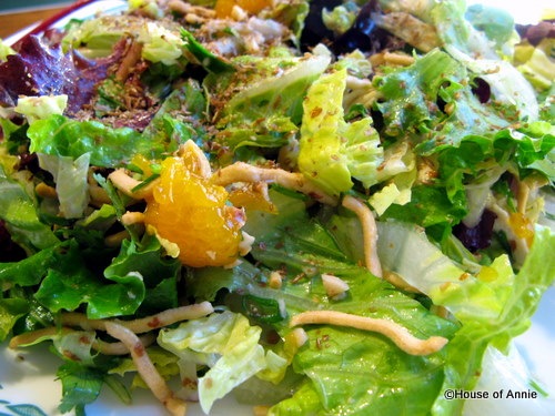 [chinese chicken salad 2008[2].jpg]