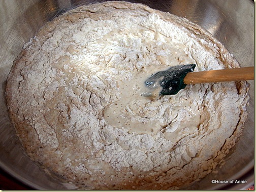 Mixing Flour, Salt, Yeast and Water for No Knead Bread 