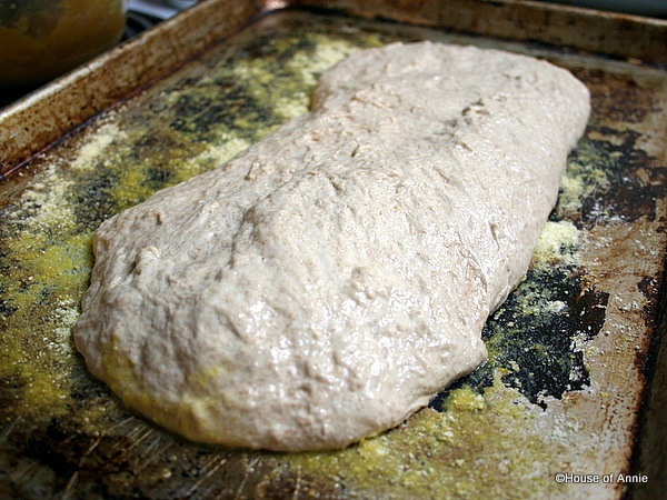 [IMG_10592.jpg]