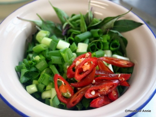 [chile peppers green onions thai basil.jpg]