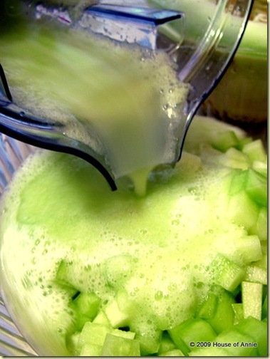 blended and diced honeydew melon
