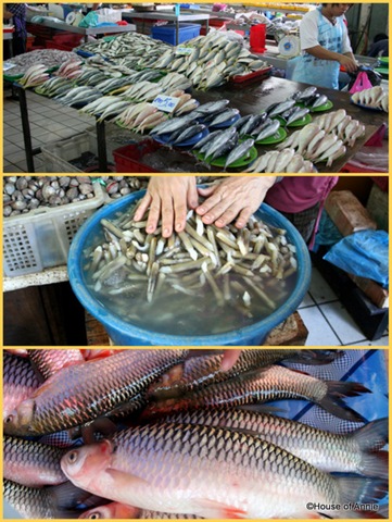 [Sibu Central Market Fish and Seafood[2].jpg]