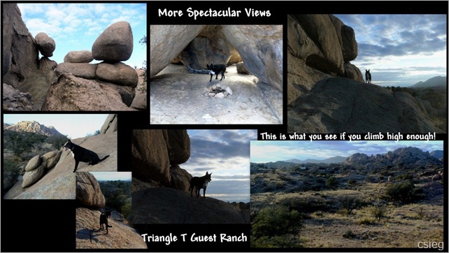 Triangle T Ranch Dragoon, AZ-13 Triangle T Ranch Dragoon, AZ-13