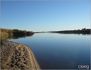 Cibola Nature Reserve Trip  (3)