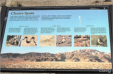 Joshua Tree National Park Trip (15) Joshua Tree National Park Trip (15)