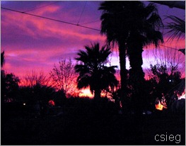 KOA Sunsets (8) KOA Sunsets (8)