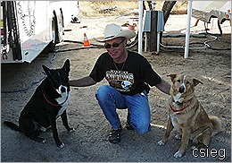Beemer and Dogs 20 Beemer and Dogs 20