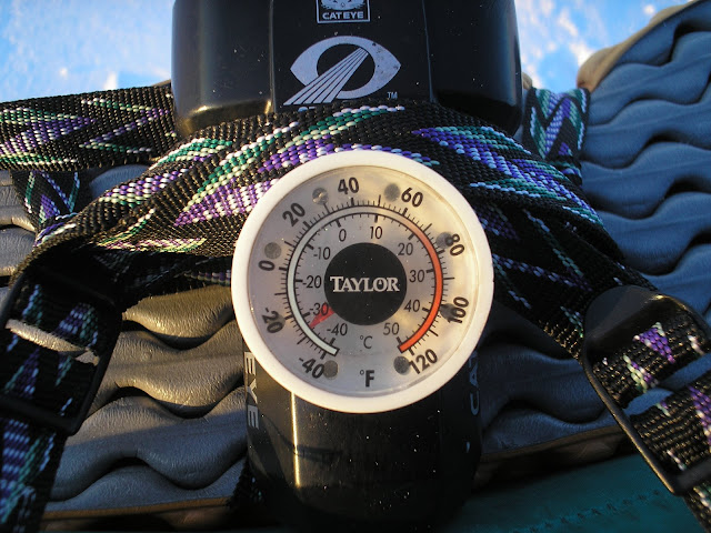 race%20to%20Nome%202008%20881.JPG