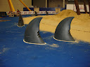 070828-DSC05396.jpg
