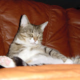 Min kismysar 2003