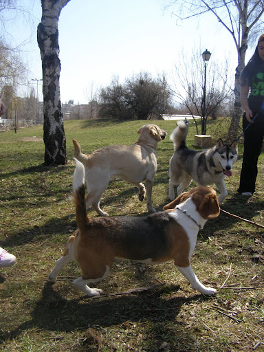 Качена снимка