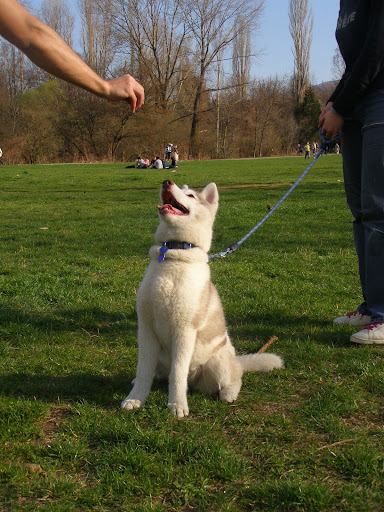 Качена снимка