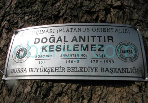 Anıt Kesilemez