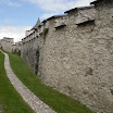 SDC11401.JPG