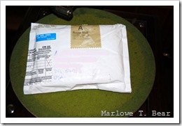 tn_2010-07-07 Marlowe's Package (3)_edited-1