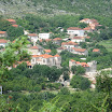 IMG_1874.jpg