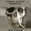 t22.jpg
