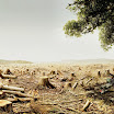 wwf_38.jpg