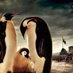 wwf_37.jpg