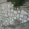 IMG_5286.jpg