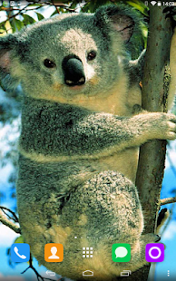 How to mod Koala Live Wallpaper 1.1.1 mod apk for laptop