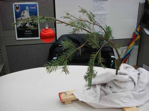 Charlie Brown Christmas Tree Charlie Brown Christmas Tree