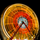 Post image for Blog Carnival (December 6, 2010)
