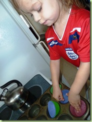 P1000090 P1000090