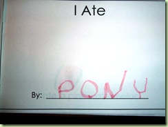 P1000031 P1000031
