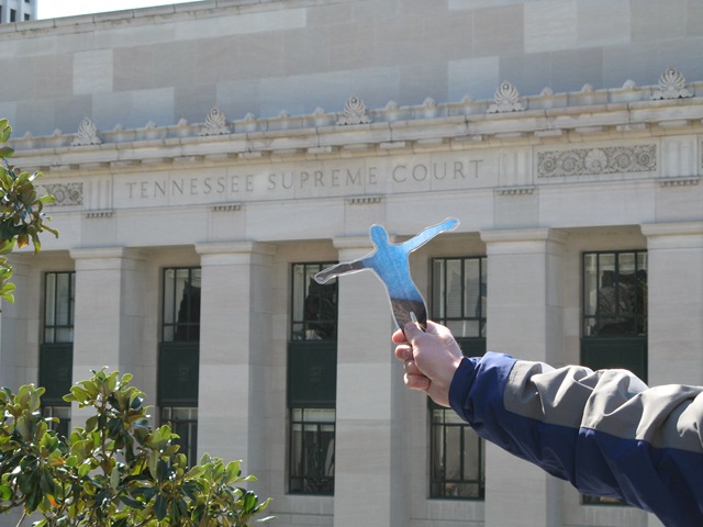 [TN Supreme Court.jpg]