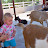 Trip to the Zoo
