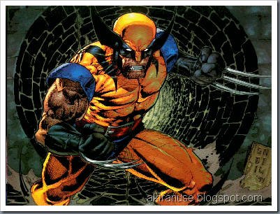 wolverine