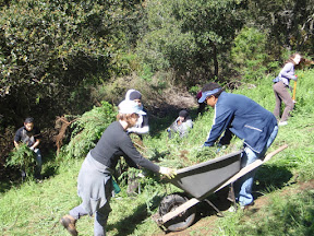 French broom was threatening the grasslands and oak forests of this hidden gem, as well as creating a fire hazard.