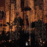 Nashville 2009