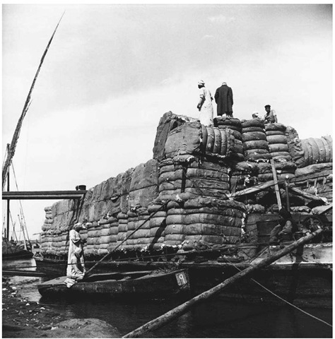 Egyptian Cotton Ready for Transport on the Nile River. Large bales of cotton are loaded on a barge at the banks of the Nile River in Egypt in the 1950s. 