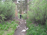 CIMG0375.JPG