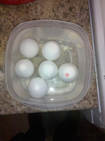 Eggs warming