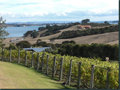 View from Cable Bay Vineyards