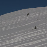IMG_3345.JPG