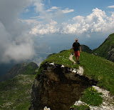 IMG_8533.JPG