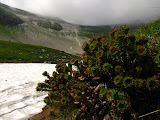 IMG_1937.JPG