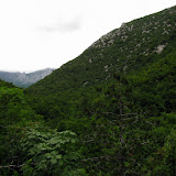 IMG_5120.JPG