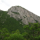 IMG_5129.JPG