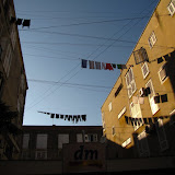 IMG_5185.JPG