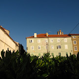 IMG_5203.JPG