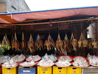 DSC02384.JPG