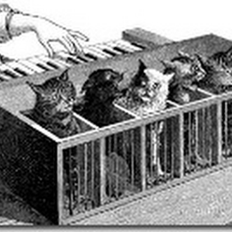 Cat Playing Piano