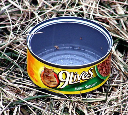 [9 lives cat food with Morris the cat on the tin[3].jpg]