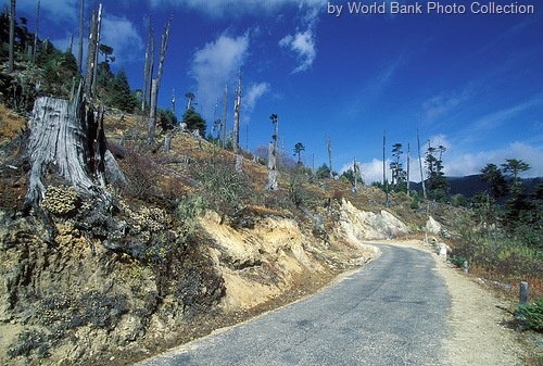 [deforestation bhutan[5].jpg]
