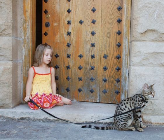 [kathrin-stucki-photos-savannah-cat-and-daughter-5[2].jpg]